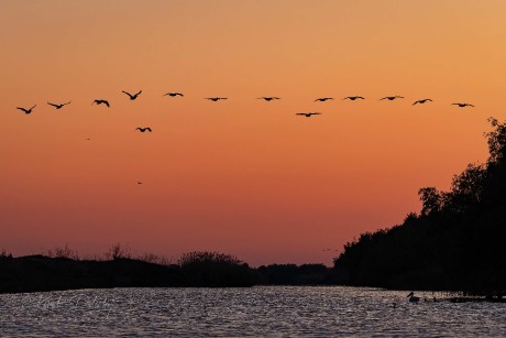 Svítání v deltě Dunaje